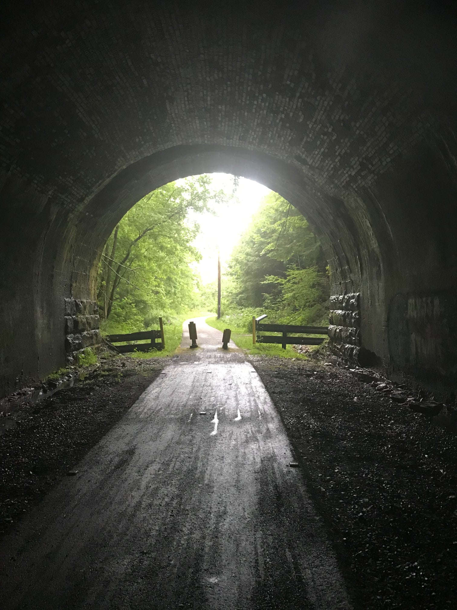 Allegheny River Trail | US travel with us!